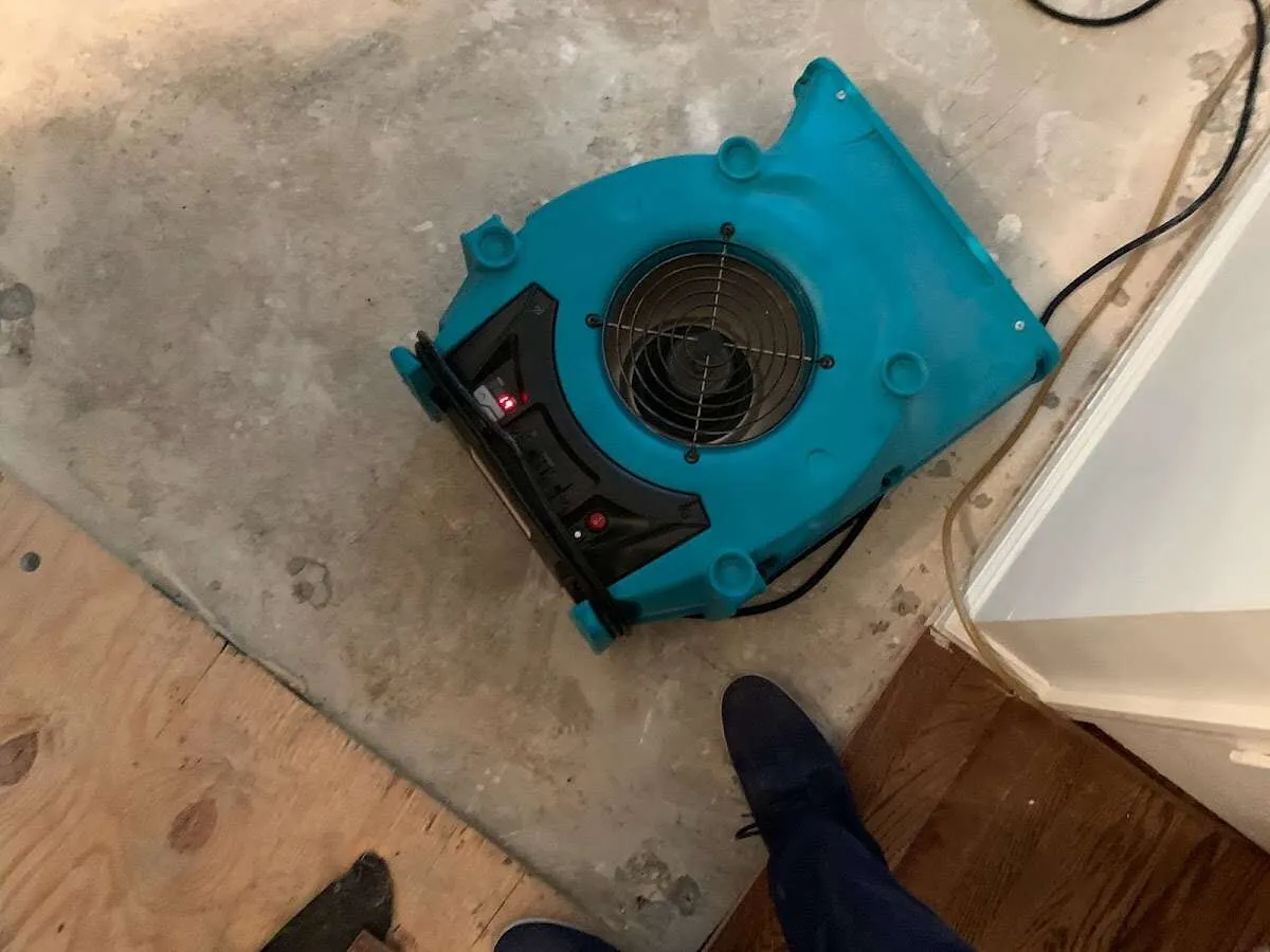 Air mover drying subfloor during Leak Detection & Repair in Lemon Grove